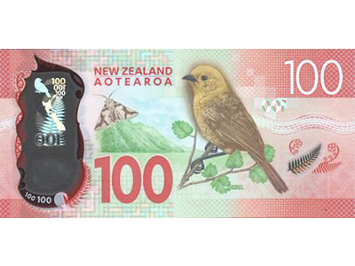 NZ $100 note back