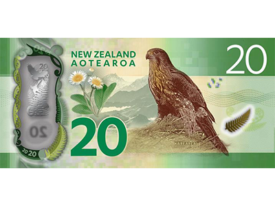 NZ $20 note back