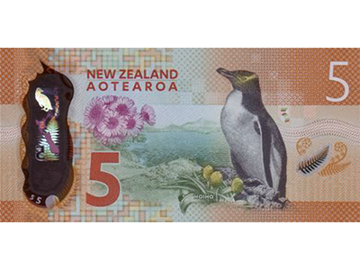 NZ $5 note back