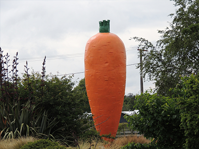 Ohakune Carrot