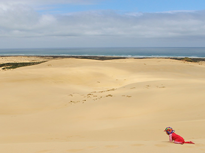 Northland sand dunes