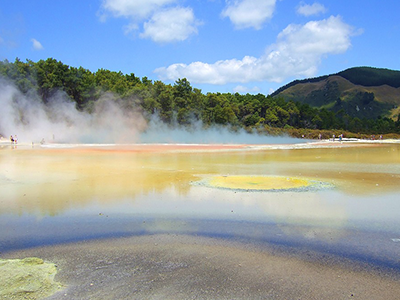 Rotorua geothermal