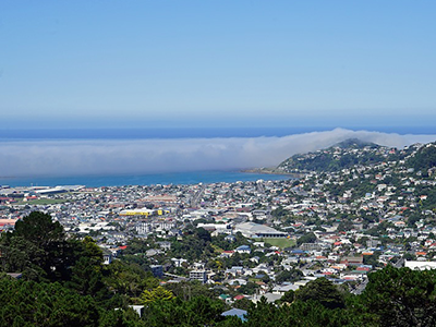 Wellington looking towards the airport from Mt Victoria