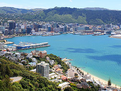 Wellington harbour from above